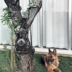 La Casa Di Ester Nel Cilento Villa *