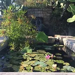 La Casa Di Ester Nel Cilento Βίλα *