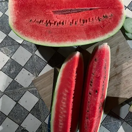 La Casa Di Ester Nel Cilento Βίλα