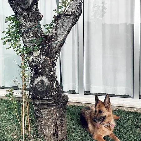 La Casa Di Ester Nel Cilento فيلة *