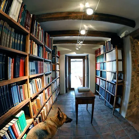 Βίλα La Casa Di Ester Nel Cilento *