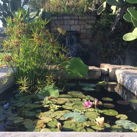 La Casa Di Ester Nel Cilento Βίλα *