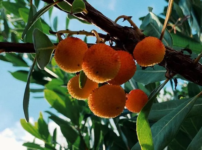 La Casa Di Ester Nel Cilento ヴィラ