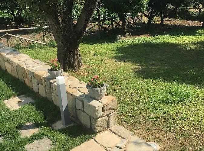 La Casa Di Ester Nel Cilento *