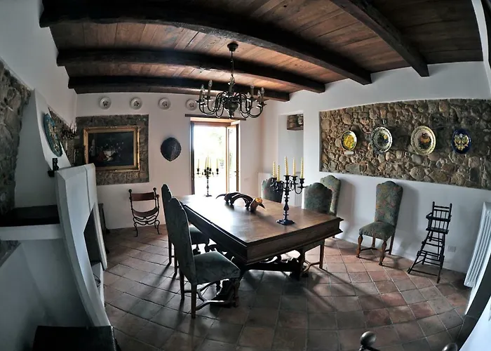 La Casa Di Ester Nel Cilento