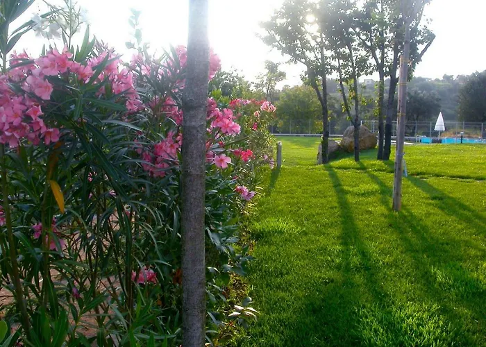 La Casa Di Ester Nel Cilento